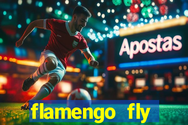 flamengo fly emirates ultimas noticias